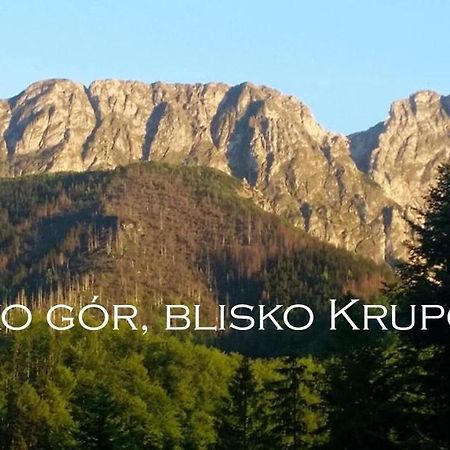 Willa Otulina Pod Giewontem Zakopane Exteriér fotografie