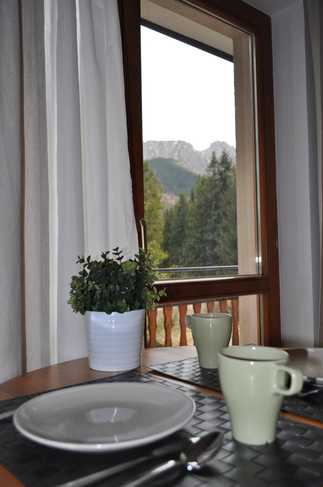 Willa Otulina Pod Giewontem Zakopane Exteriér fotografie