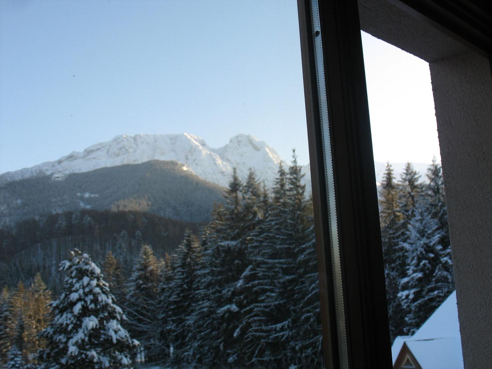 Willa Otulina Pod Giewontem Zakopane Exteriér fotografie