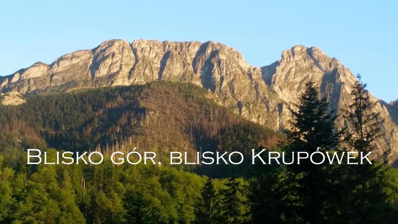 Willa Otulina Pod Giewontem Zakopane Exteriér fotografie