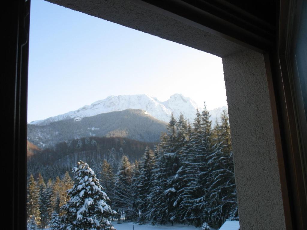 Willa Otulina Pod Giewontem Zakopane Pokoj fotografie