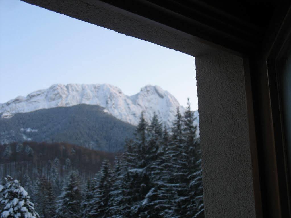 Willa Otulina Pod Giewontem Zakopane Exteriér fotografie